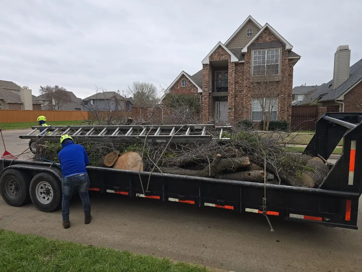 Expert Tree Fertilization with proper safety equipment in Grand Coulee